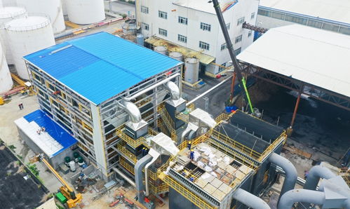 漳州開發(fā)區(qū) 中糧油脂福建工廠積極探索綠色轉型與智能化生產之路